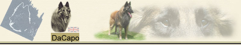 Banner_DaCapo