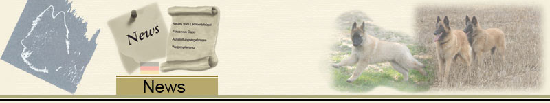 Banner_News